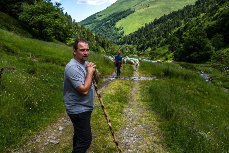 olivier maurin producteur fromage viande