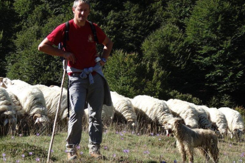 didier arribe producteur fromage bescat