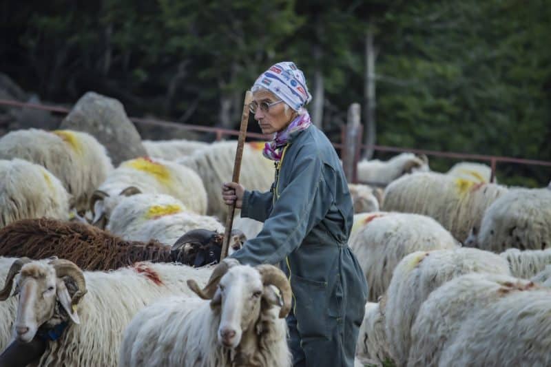 famille touyet producteurs fromage