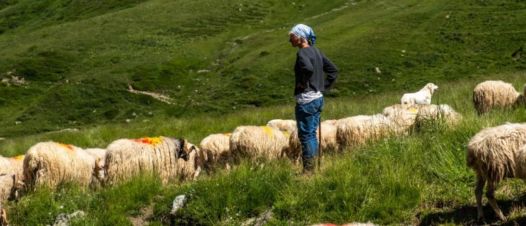 fromage pyrénées gers