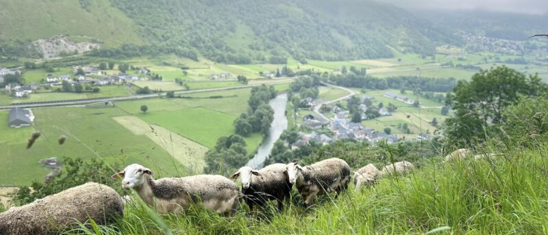 ferme pujalet aste beon