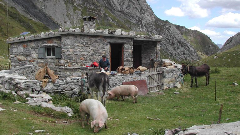 ferme rachou langlatte fromage