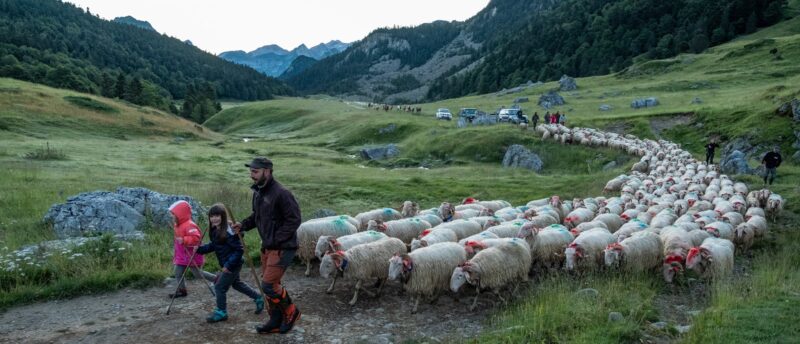 ferme saucet fromage