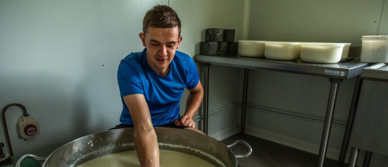 romain castaing fromage brebis