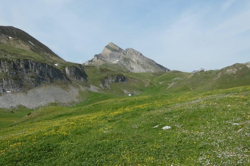 séverine carriorbe fromage vallée ossau