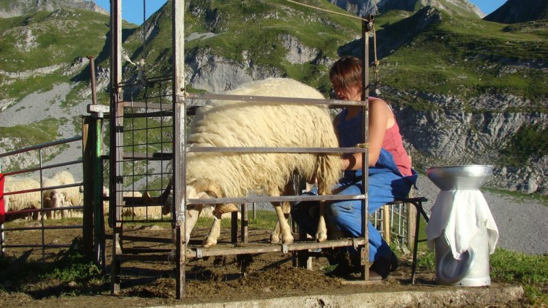 séverine carriorbe fromage bescat